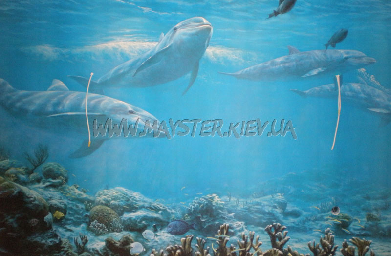 Поклейка Фотошпалер Dolphin Mural